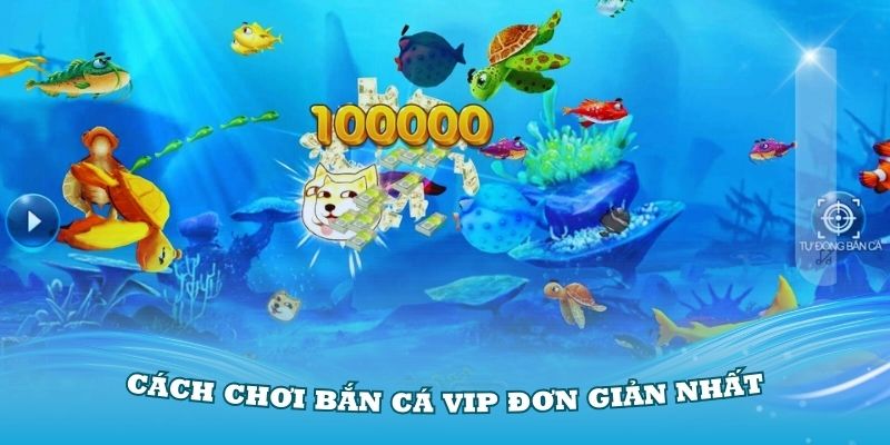 Trải nghiệm cách chơi bắn cá VIP đơn giản nhất